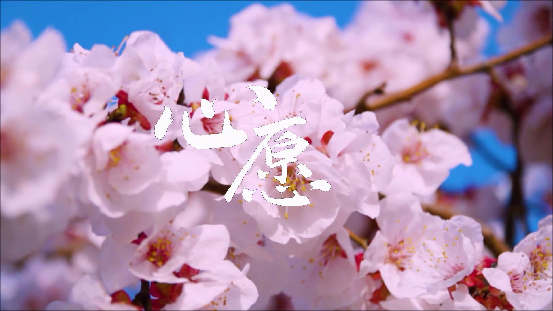 税悦润疆 舞动天山系列微视第五部《心愿》[00_00_08][20220511-112757].jpg